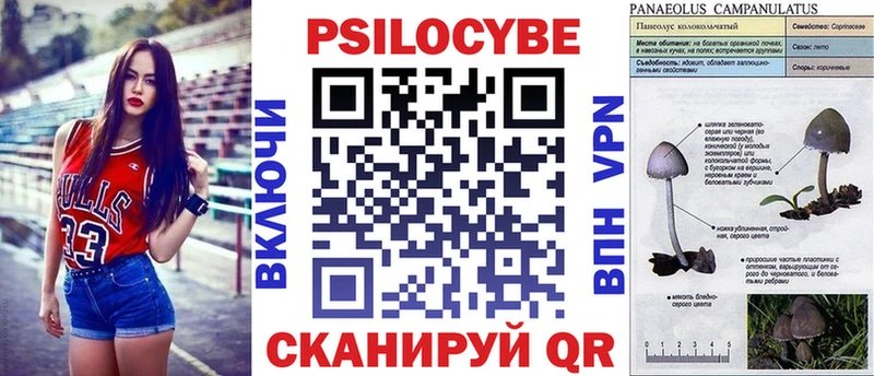 Псилоцибиновые грибы ЛСД Бокситогорск